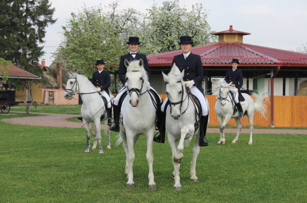 The State Stud Farm Đakovo