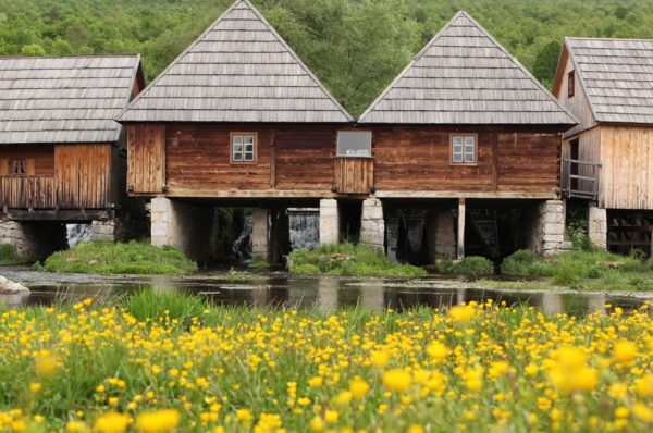 The springs of the Gacka river