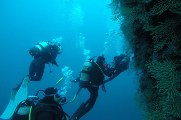 Diving center “Draulik” in the ACI marina Milna