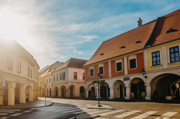 790 Years of Free Royal City Vukovar