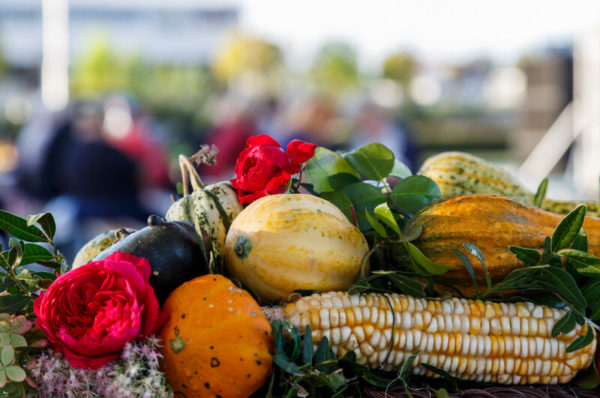 Experience the scent of autumn – Visit the 14th Vukovar Ethic Fair