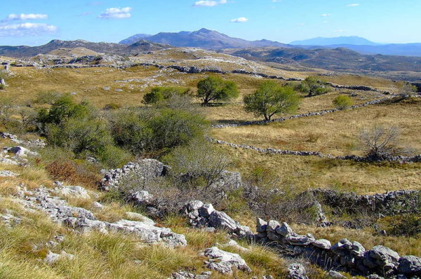 Dinara as a Natura 2000 – Dinara back to LIFE