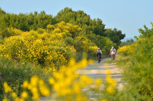 Cycling routes for biking lovers in Vodice