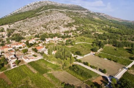 Kuna – Crkvice on Pelješac – A Place of Wine and Art